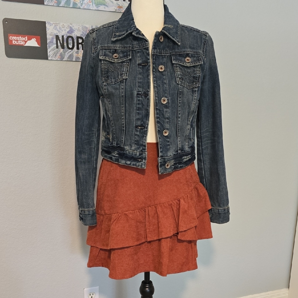 Express X2 Denim Laboratories Cropped Denim Jacket, S